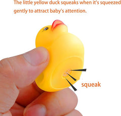 Baby Bath Duck Set – Squeaky Floating Water Play Pack | 20pc