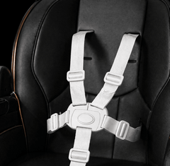 Comfort Seat Premium Baby Feeding High Chair with Wheels &  Secure Safety Belt