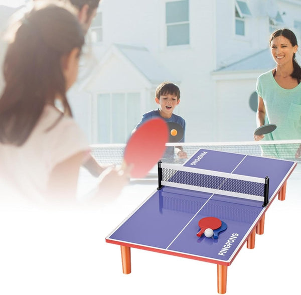 Compact & Portable Tennis Table – Foldable and Game-Ready