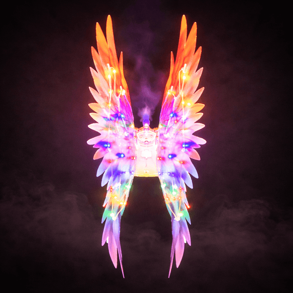 Dream Princess Wings – Light, Music & Spray Angel Wings with Controller