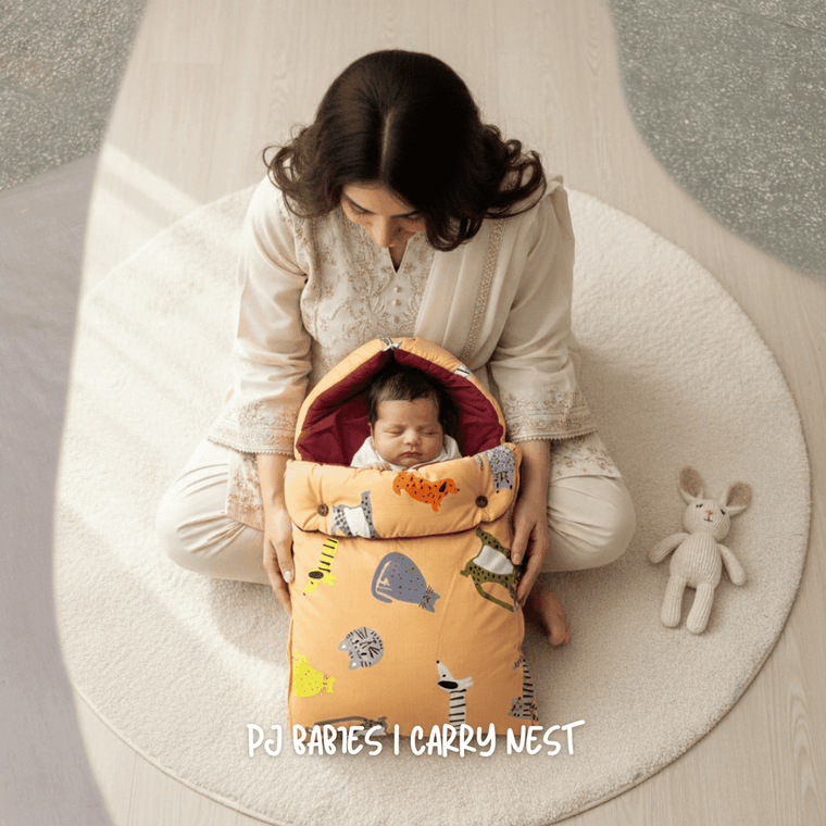 Little Haven Carry Nest