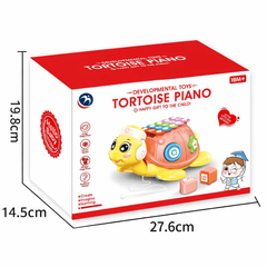 Musical Tortoise Piano Learning & for Babies – Light, Sound &  Shape Activity Playset