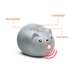 Remote Control Smoke Spider – Infrared Crawling Creature with Light-Up Eyes